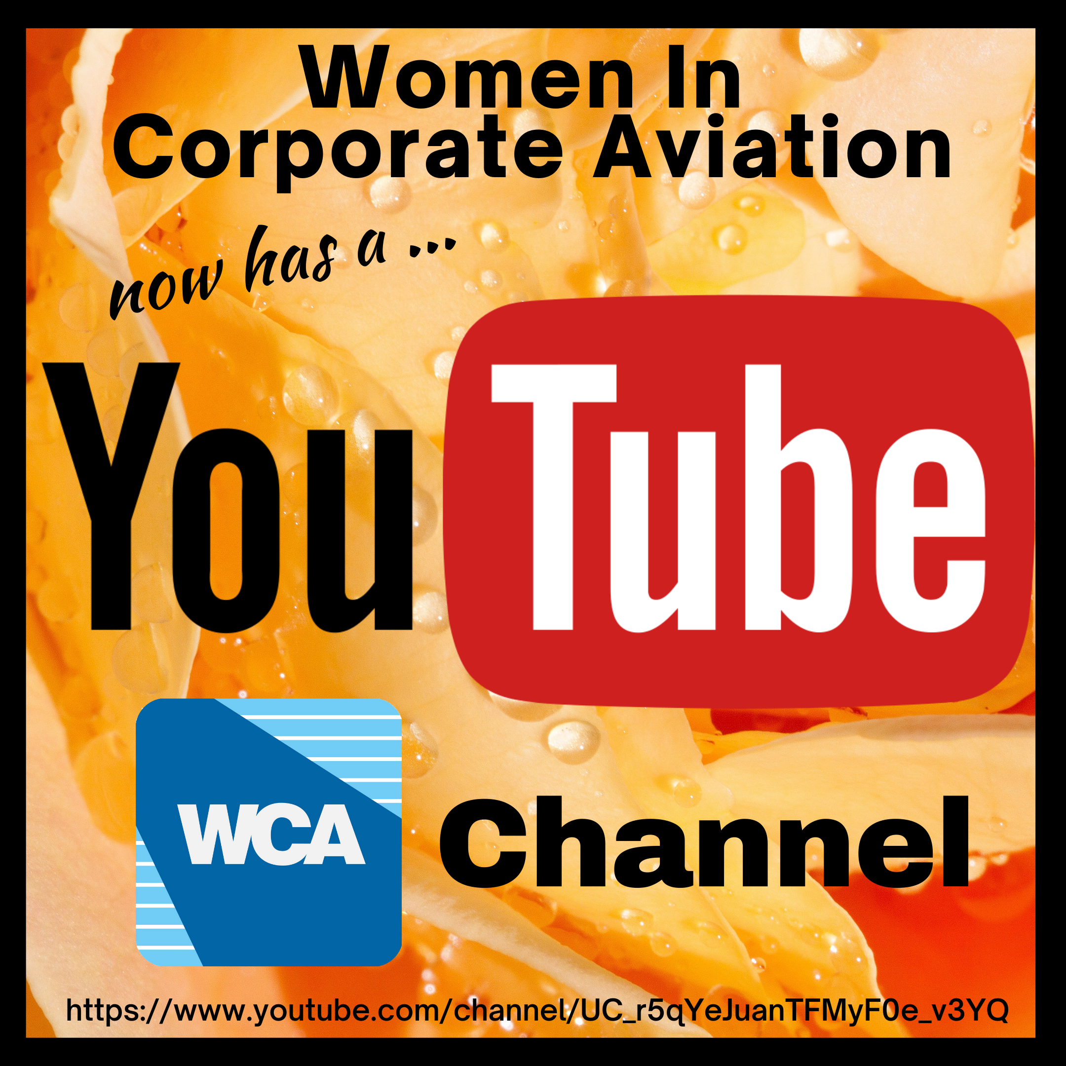 WCA’s YouTube Channel!